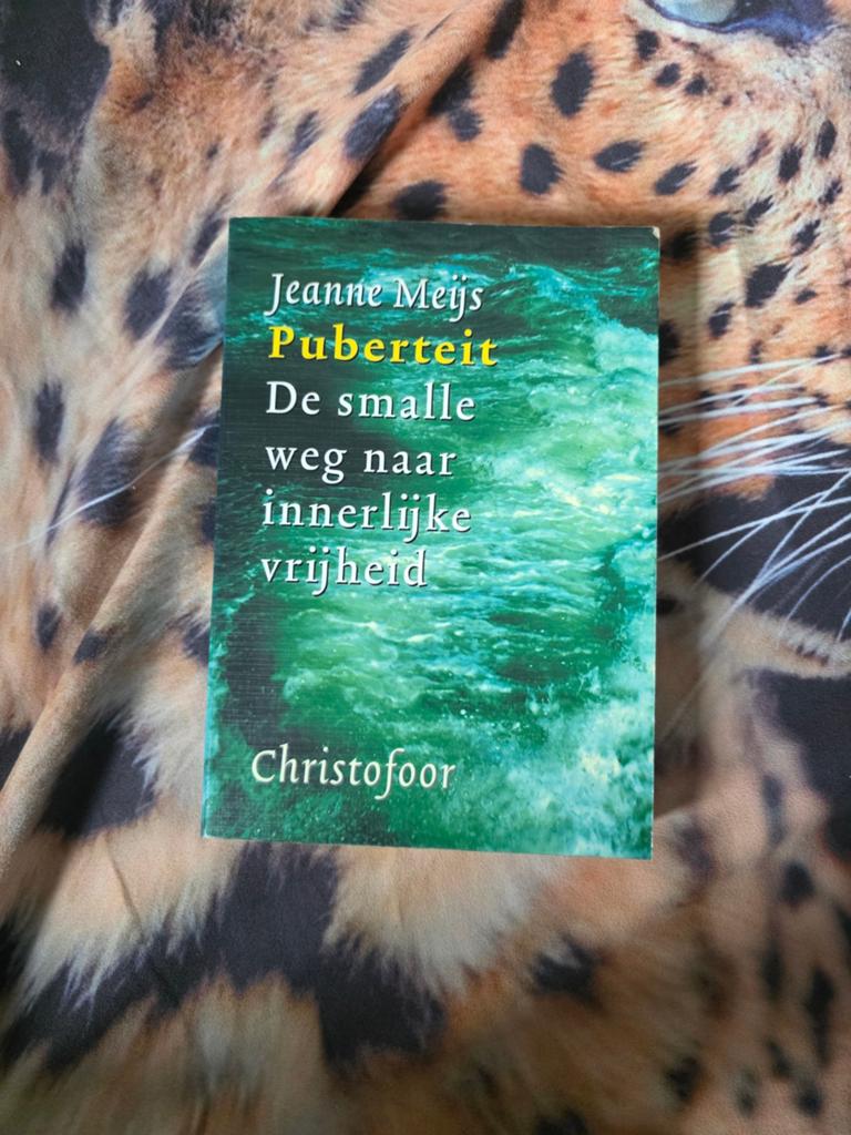 J. Meijs - Puberteit, Sociale wetenschap, Ophalen of Verzenden, Zo goed als nieuw, J. Meijs