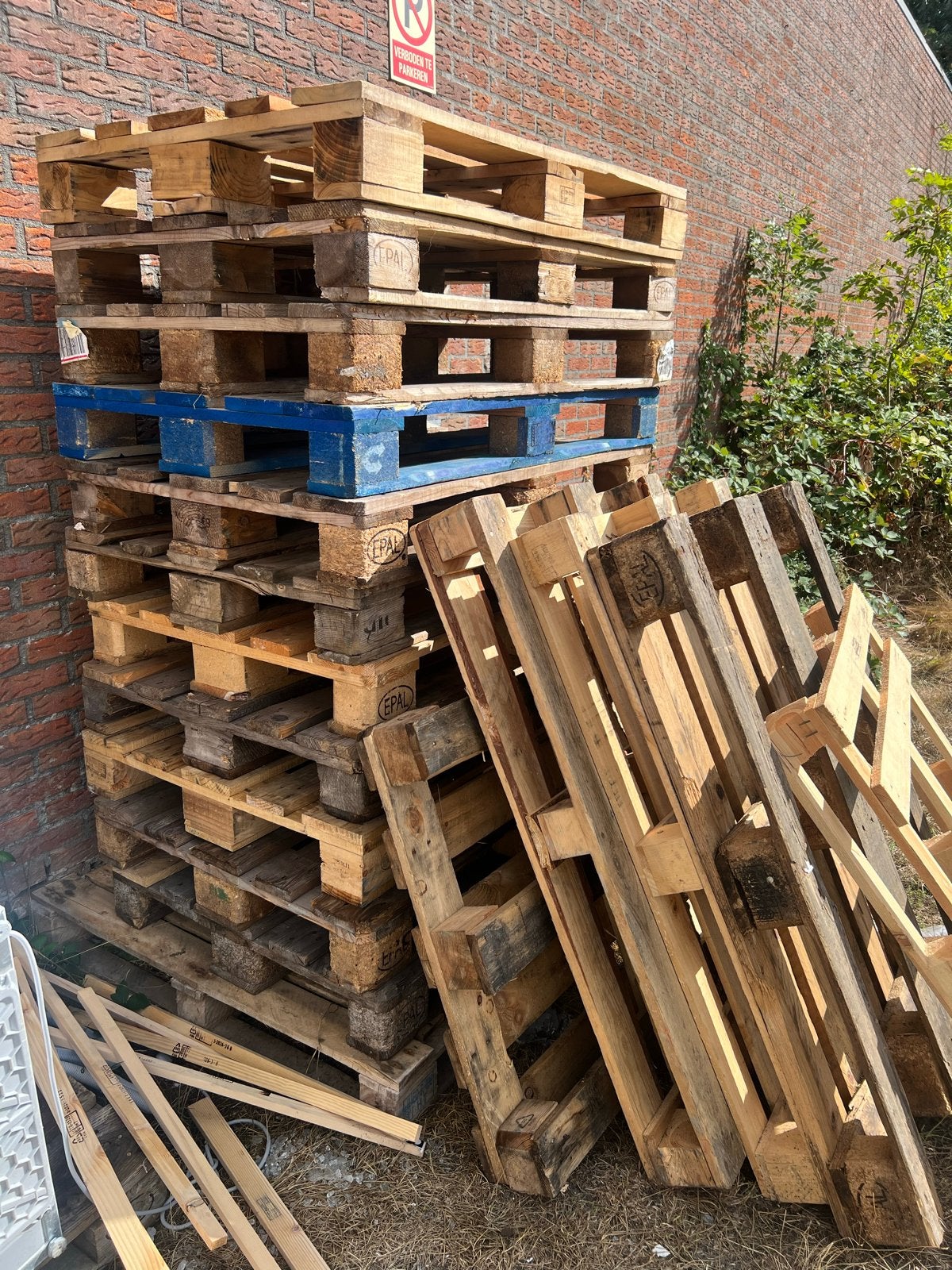 pallets 25 st -, Ophalen, Gebruikt, 50 mm of meer, Pallet