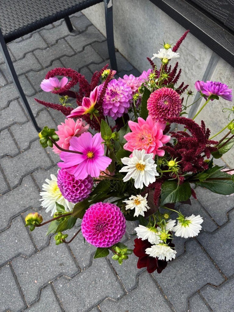 prachtig boeket dahlia ´s, Ophalen, Volle zon, Knol