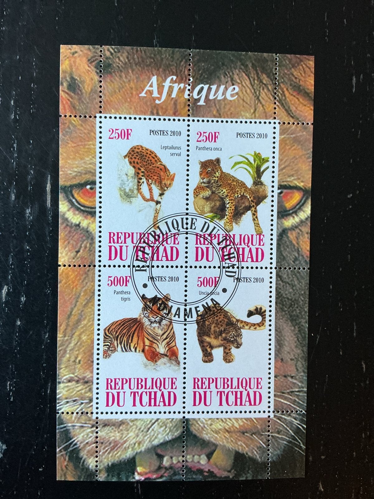 Tsjaad Postzegels 2010 - Afrikaanse Katachtigen, Ophalen of Verzenden, Overige landen, Gestempeld