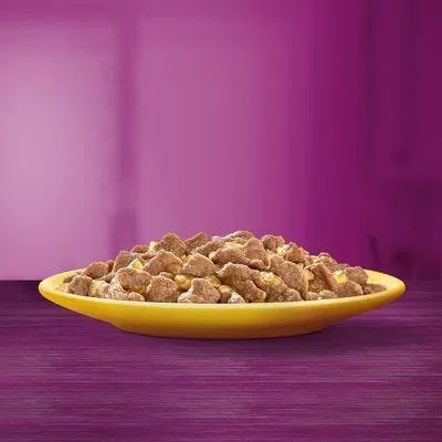Whiskas 7+ Nat Kattenvoer – 91 Zakjes – Voordeelpartij, Ophalen, Kat