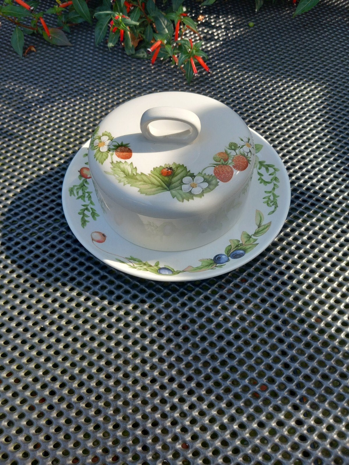 Libelle bosvruchten servies botervloot, Ophalen of Verzenden