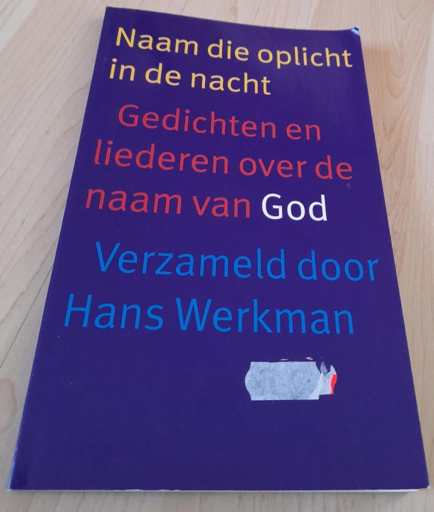 NAAM DIE OPLICHT IN DE NACHT door Hans Werkman Gedichten en, Boeken, Ophalen of Verzenden, Zo goed als nieuw