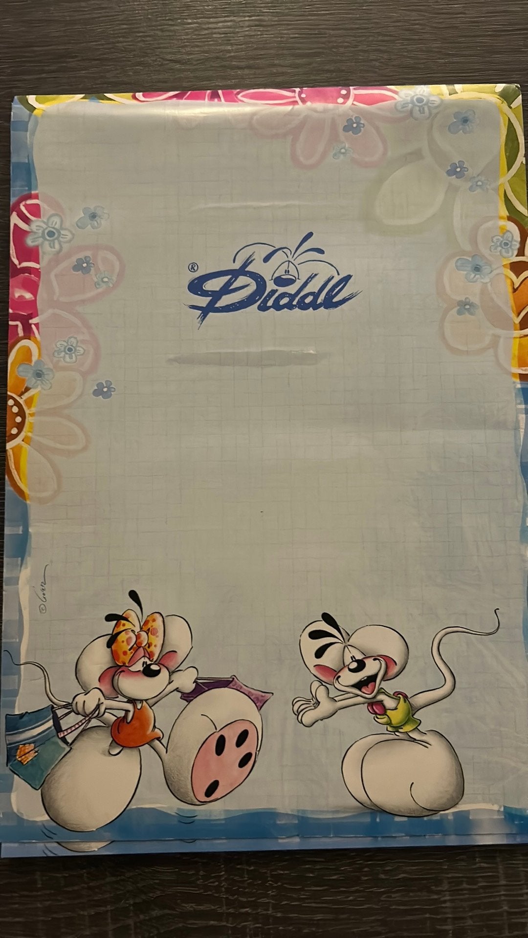 Diddl A6 blok (Art.041318.001), Verzamelen, Diddl, Ophalen of Verzenden, Zo goed als nieuw, Papier, Kaart of Schrift