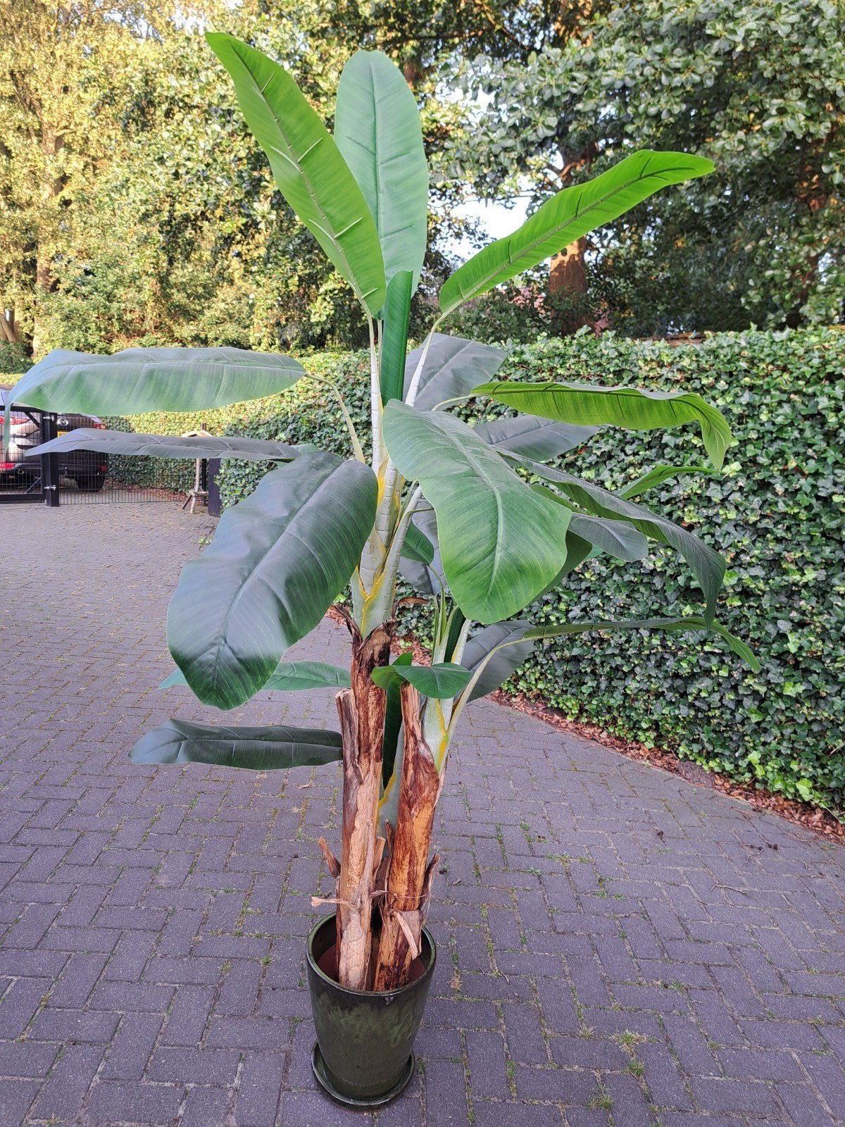 Grote Kunstplant Banaanboom - 220 cm hoog, Ophalen, Binnen, Groen, Onderhoudsvrij