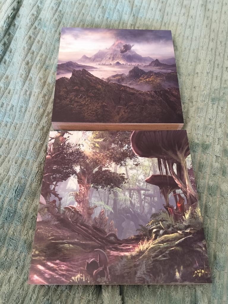 Elder Scrolls Online artwork set, Verzamelen, Ophalen of Verzenden, Zo goed als nieuw
