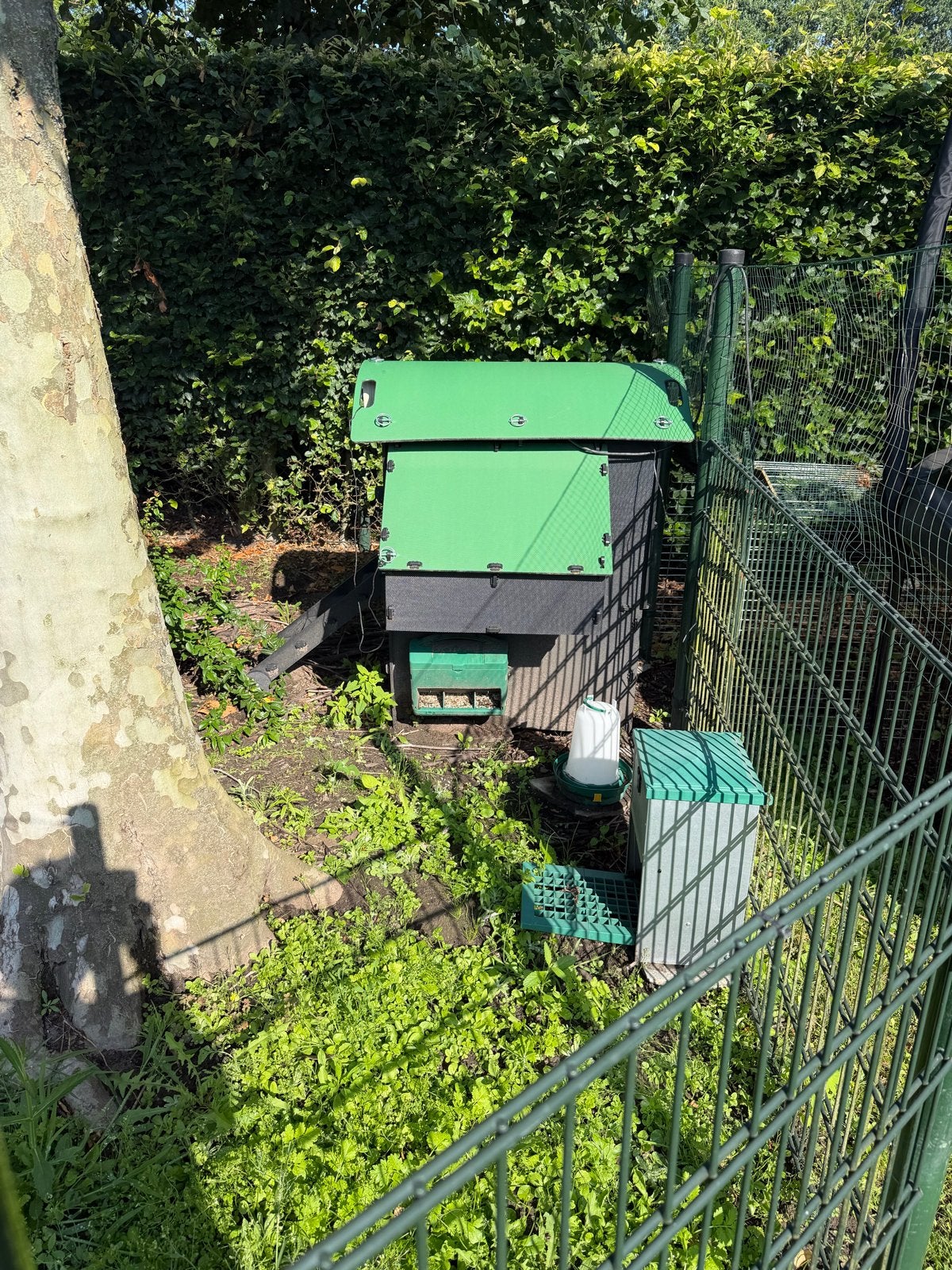 Nestera kippenhok verhoogd medium met automatische deur, Ophalen, Zo goed als nieuw, Kippenhok of Kippenren