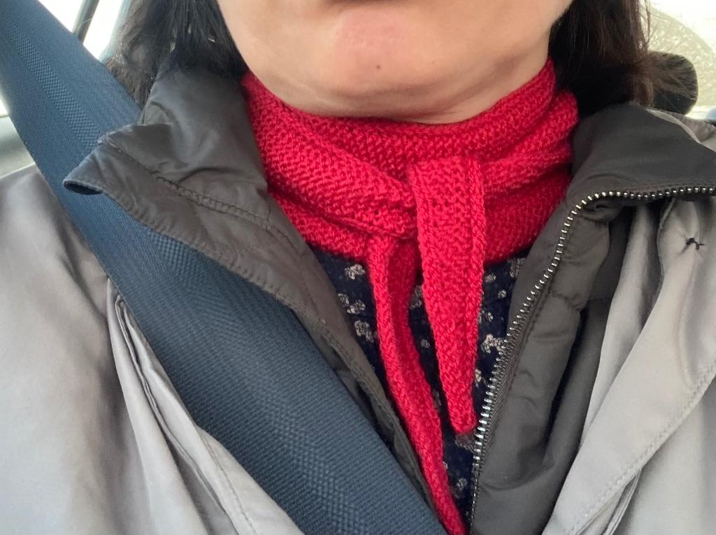 de Sophie Scarf, kleur rood, Ophalen of Verzenden, Nieuw, Sjaal
