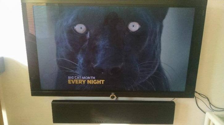 Loewe Individual Compose 52 inch Full HD, Gebruikt, 50 Hz, 100 cm of meer, Ophalen