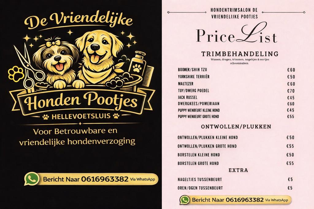 Hondentrimmers Aangeboden️, Dieren en Toebehoren, Ophalen
