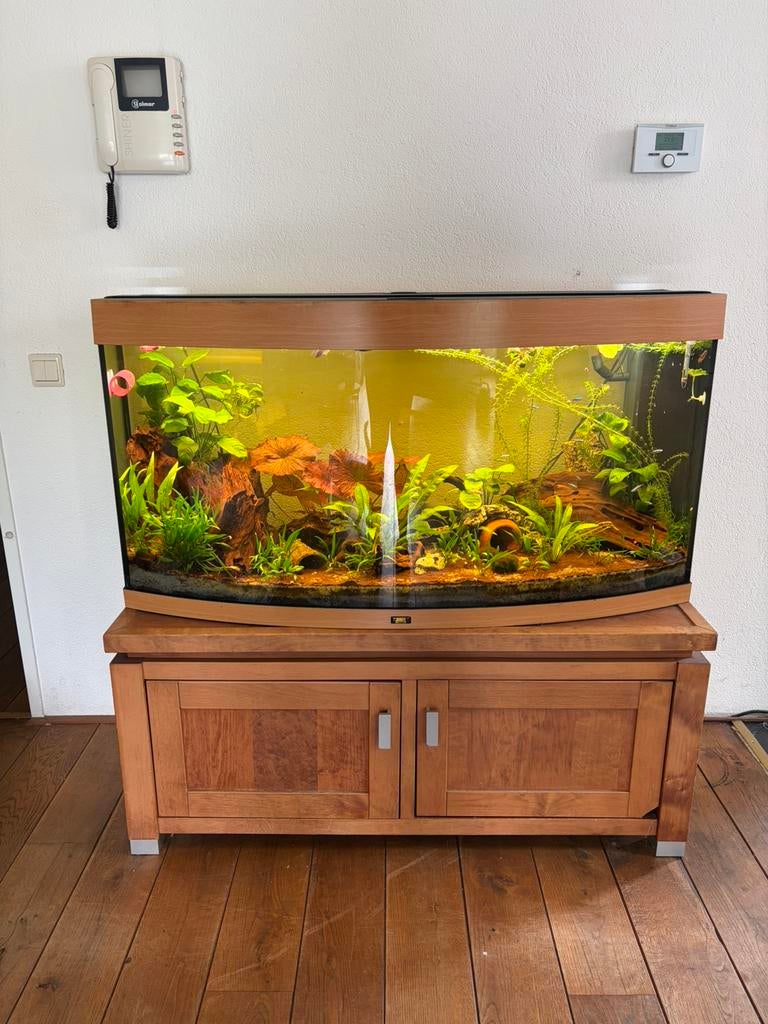 Juwel vision 260, Dieren en Toebehoren, Vissen | Aquaria en Toebehoren, Ophalen, Gebruikt, Leeg aquarium, Juwel