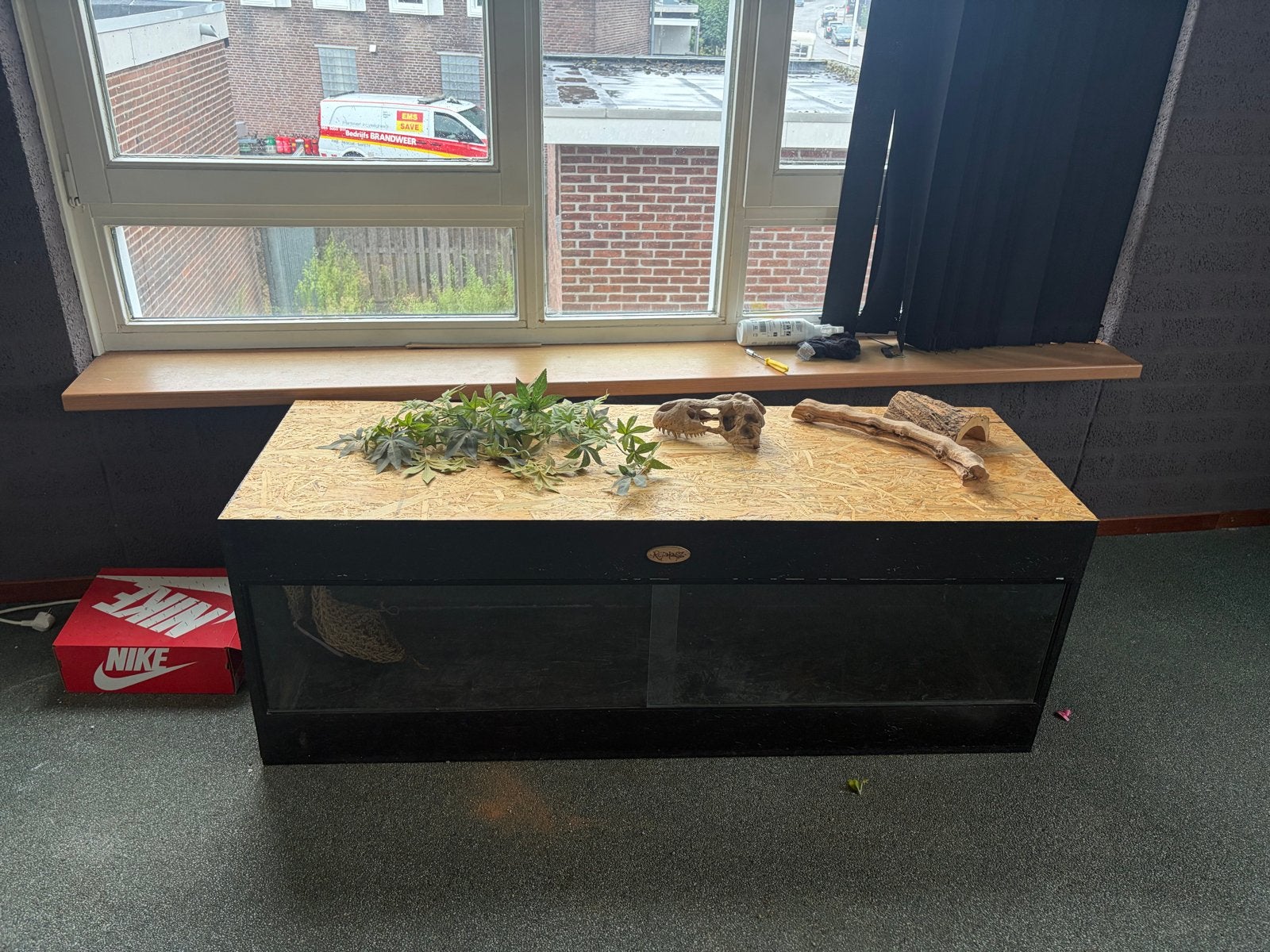 Terrarium, Ophalen, Zo goed als nieuw, Terrarium of Paludarium