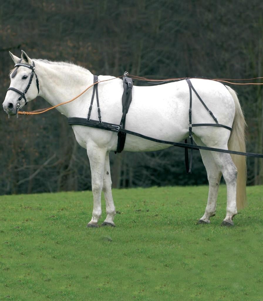 Waldhausen enkelspan tuig Economic, Dieren en Toebehoren, Paarden en Pony's | Hoofdstellen en Tuigage, Ophalen of Verzenden, Nieuw
