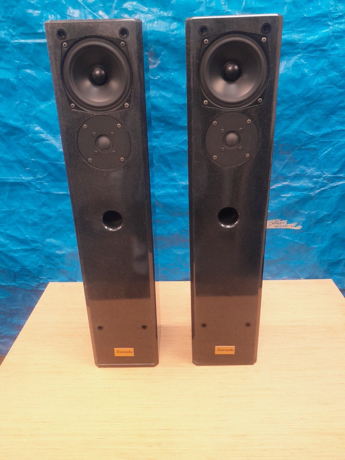 Xanadu DS 10 luidsprekers topstaat, Ophalen, Zo goed als nieuw, 60 tot 120 watt, Stereo speakers