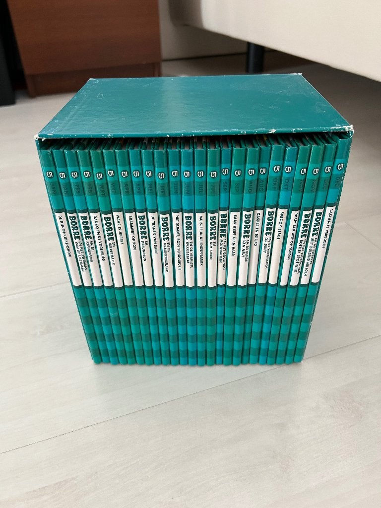 Borre  boekjes groep 5, Boeken, Kinderboeken | Jeugd | onder 10 jaar, Ophalen of Verzenden, Zo goed als nieuw, Fictie algemeen