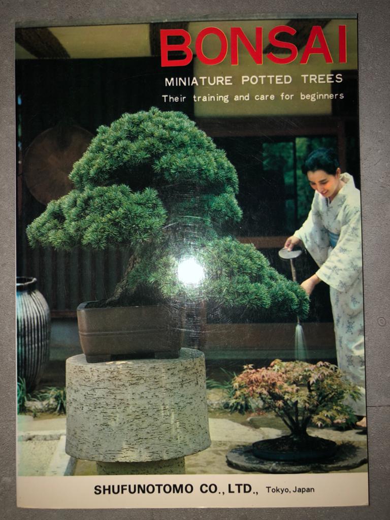 UNIEK JAPANS BOEK: Bonsai Miniature Potted Trees, Ophalen of Verzenden, Zo goed als nieuw