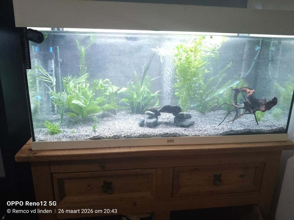 Aquarium met kast, Dieren en Toebehoren, Vissen | Aquaria en Toebehoren, Ophalen, Zo goed als nieuw, Gevuld zoetwateraquarium