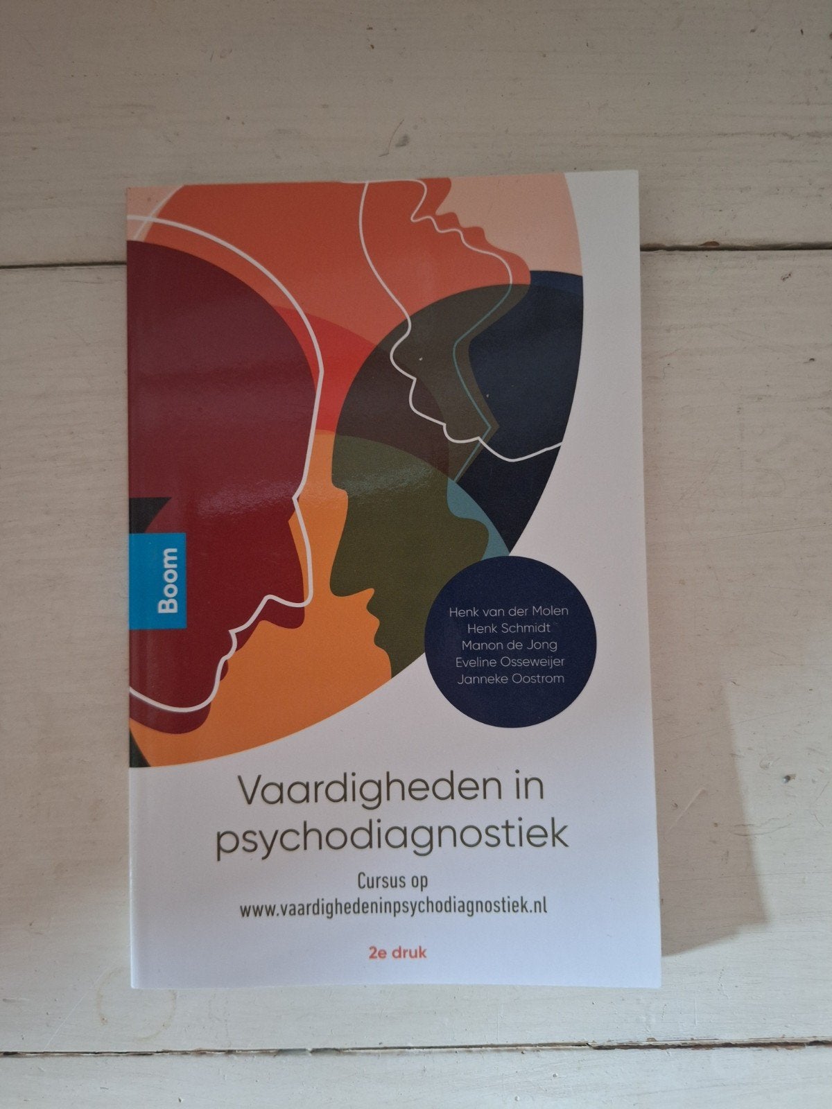 Vaardigheden in psychodiagnostiek - 2e druk, Boeken, Ophalen of Verzenden, Zo goed als nieuw, Klinische psychologie, Henk van der Molen, Henk Schmidt, Margriet de Jong
