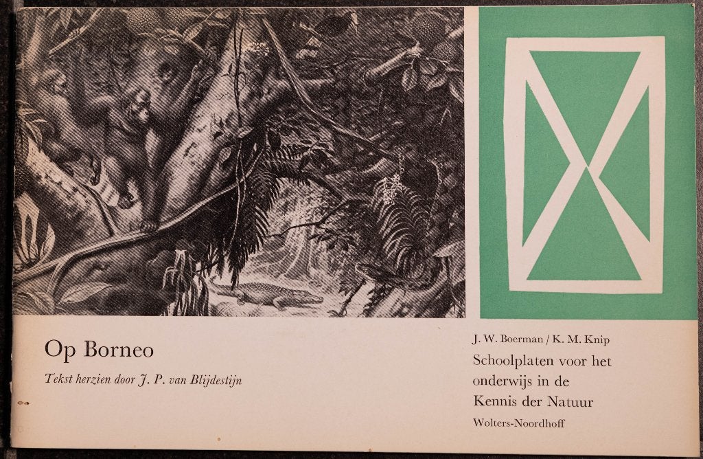 Schoolplaat boekje   Op Borneo., Ophalen of Verzenden, Natuur en Biologie