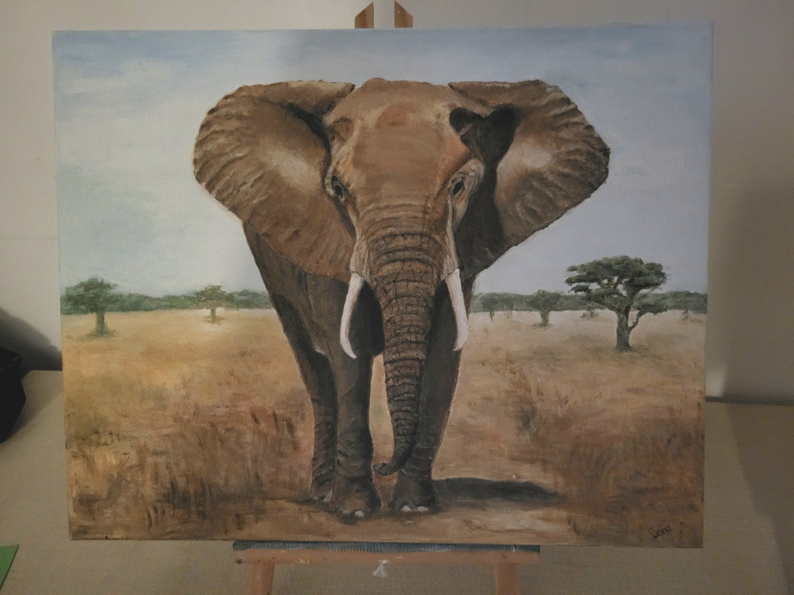 Schilderij olifant, Minder dan 50 cm, Oorspronkelijke maker, Nieuw, Ophalen of Verzenden