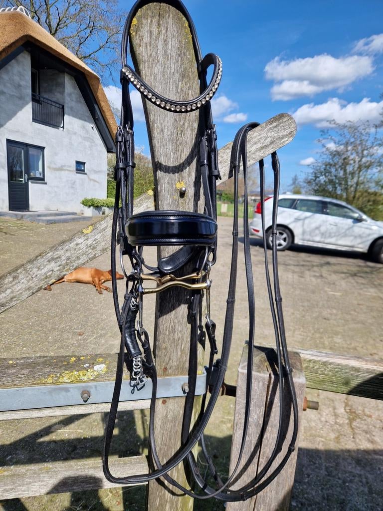 Stang en trens hoofdstel full rondgenaaid incl neue schule b, Dieren en Toebehoren, Ophalen of Verzenden