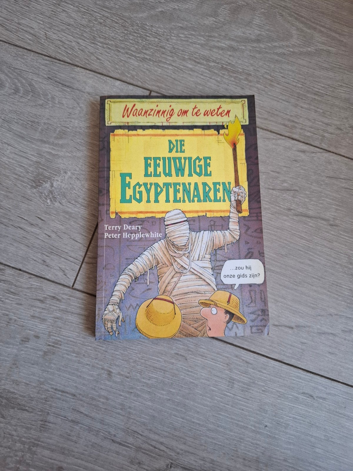 Die eeuwige Egyptenaren - Terry Deary, Ophalen of Verzenden, Zo goed als nieuw, Terry Deary, Non-fictie