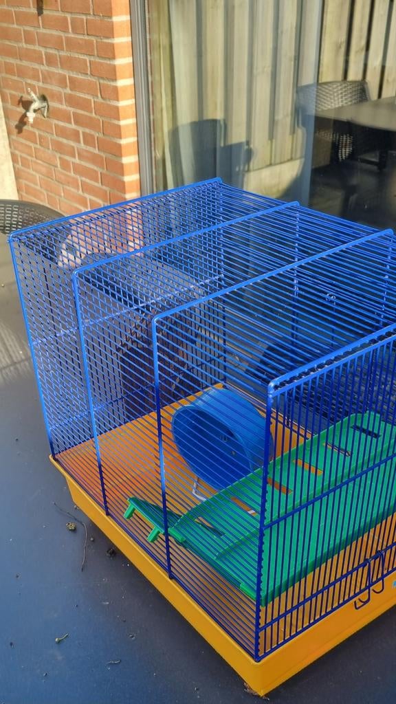 knaagdierenkooi met Plato en trapje, Dieren en Toebehoren, Ophalen of Verzenden, Zo goed als nieuw, Metaal, Vogelkooi