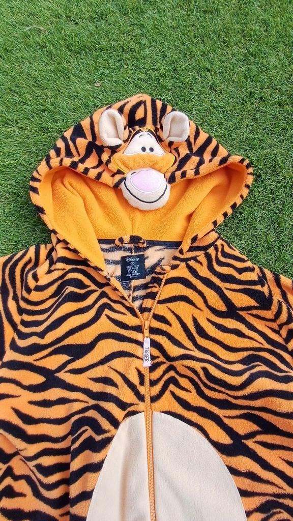 Blitse Oranje Feestkleding 🥳, Kleding | Dames, Carnavalskleding en Feestkleding, Gedragen, Kleding, Oranje of Koningsdag, Maat 42/44 (L)