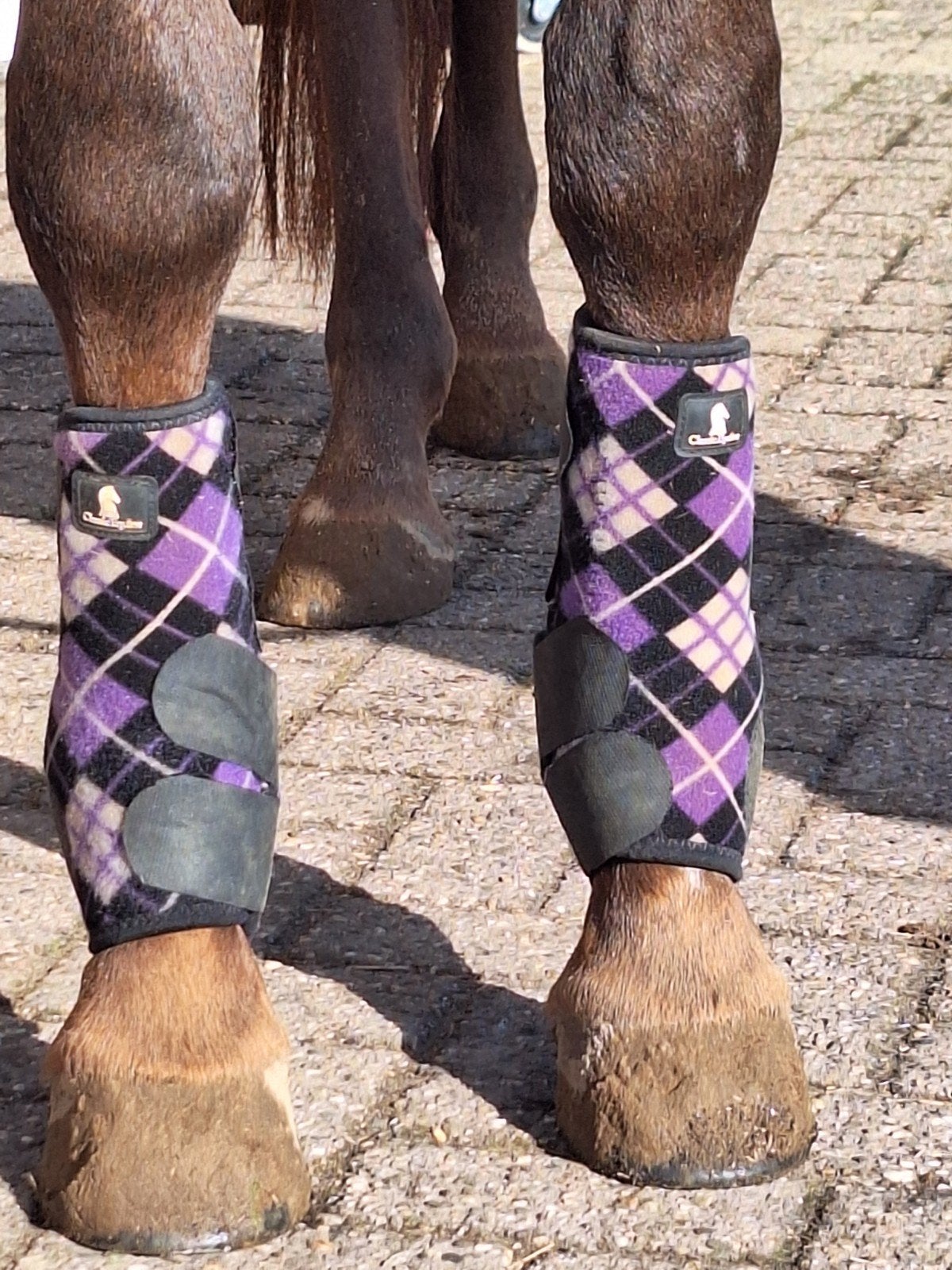 classic equine beenbeschermers ( western), Klittenbandsluiting, Beenbeschermers, Ophalen of Verzenden, Zo goed als nieuw