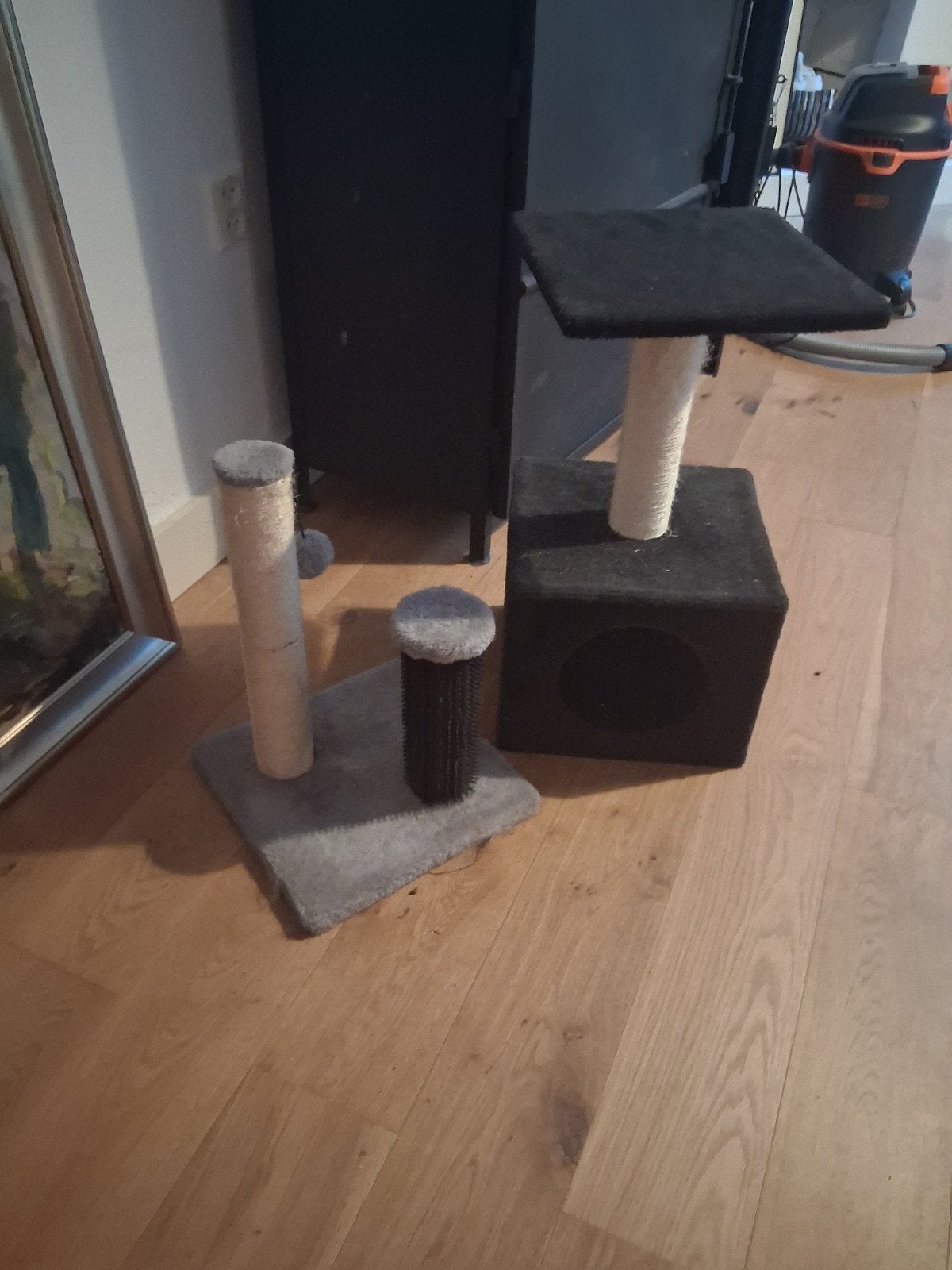 2 krabpalenaangeboden, Dieren en Toebehoren, Ophalen