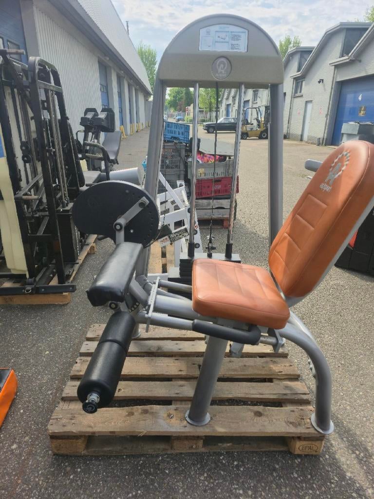 Leg extension, Ophalen, Gebruikt, Overige typen