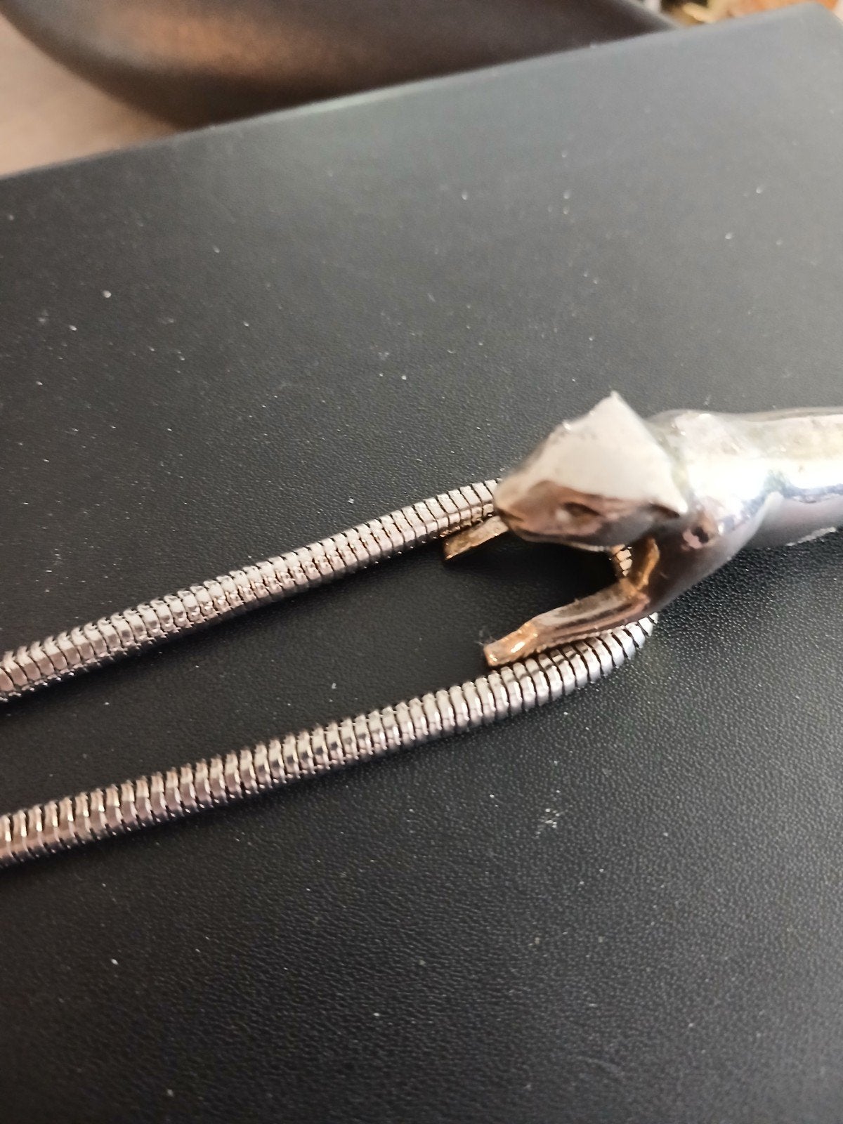 prachtige lange ketting + Bedel, Nieuw, Ophalen of Verzenden, Zilver, Overige materialen