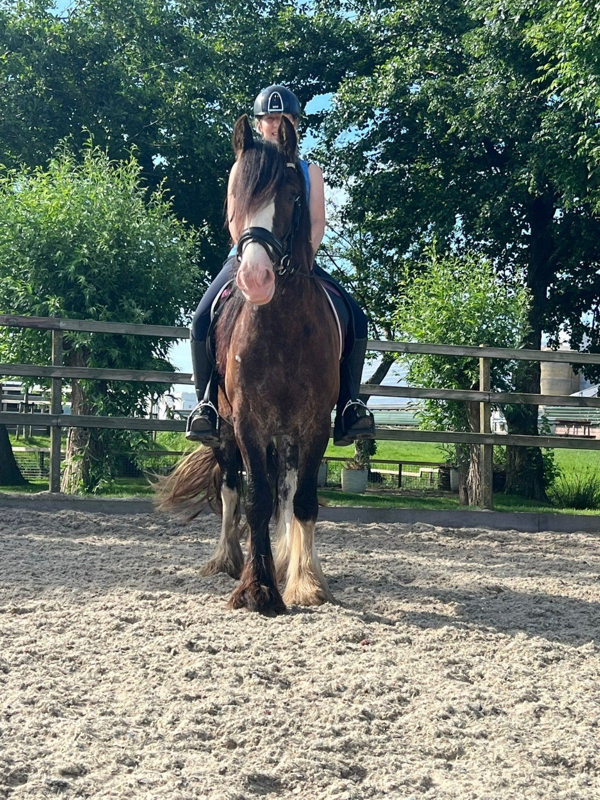 ** BETROUWBARE & TOP BRAVE GROTE TINKER RUIN **, Dieren en Toebehoren, Gechipt, Minder dan 160 cm, Ruin, Zadelmak