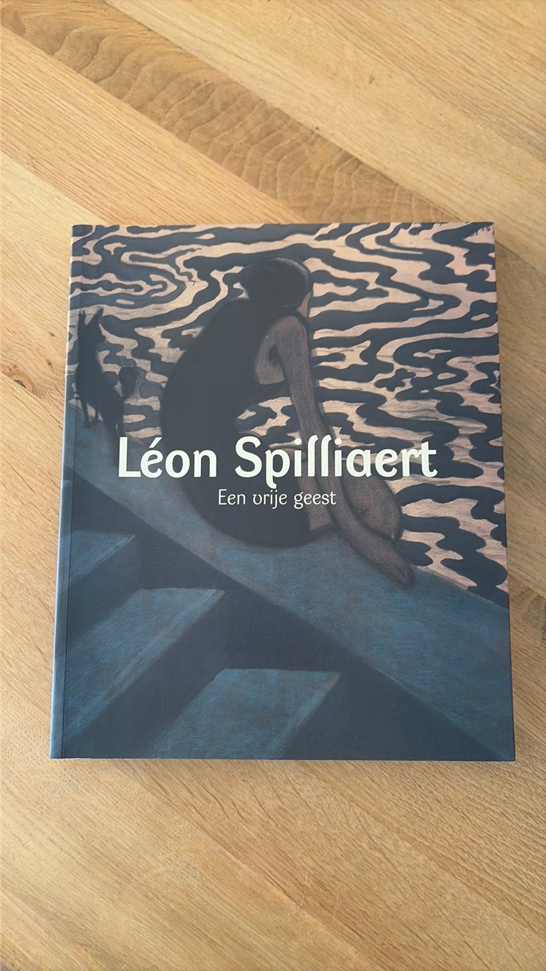 Leon Spilliaert; Een vrije geest - Michel Draguet, Boeken, Ophalen of Verzenden, Gelezen, Schilder- en Tekenkunst