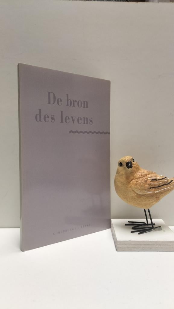 Kohlbrugge, Dr. H.f.; De bron des levens, Ophalen of Verzenden, Gelezen, Christendom | Protestants