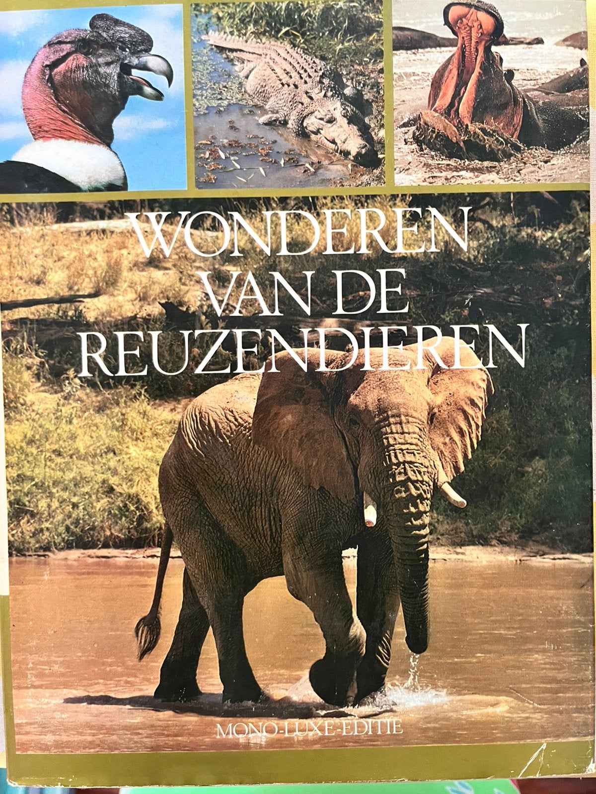 Wonderen van de Reuzendieren, Ophalen of Verzenden, Zo goed als nieuw, Natuur algemeen