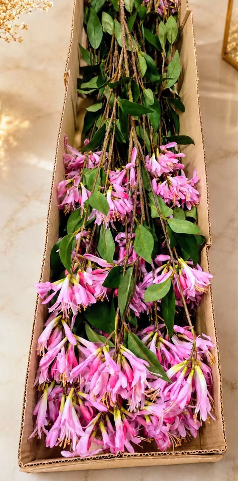 Partij Silka 4000 Bloemen twv €65.000, Huis en Inrichting, Woonaccessoires | Kunstplanten en Kunstbloemen, Ophalen of Verzenden