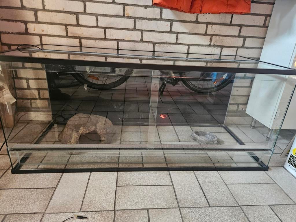 Terrarium inclusief toebehoren, Dieren en Toebehoren, Ophalen, Terrarium of Paludarium
