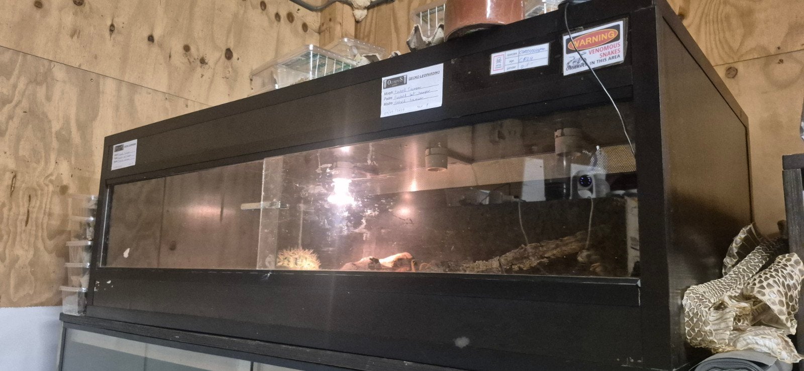 3x 1.20x60x40 + 2x 200x60x50  betonplex terrarium 15mm, Ophalen