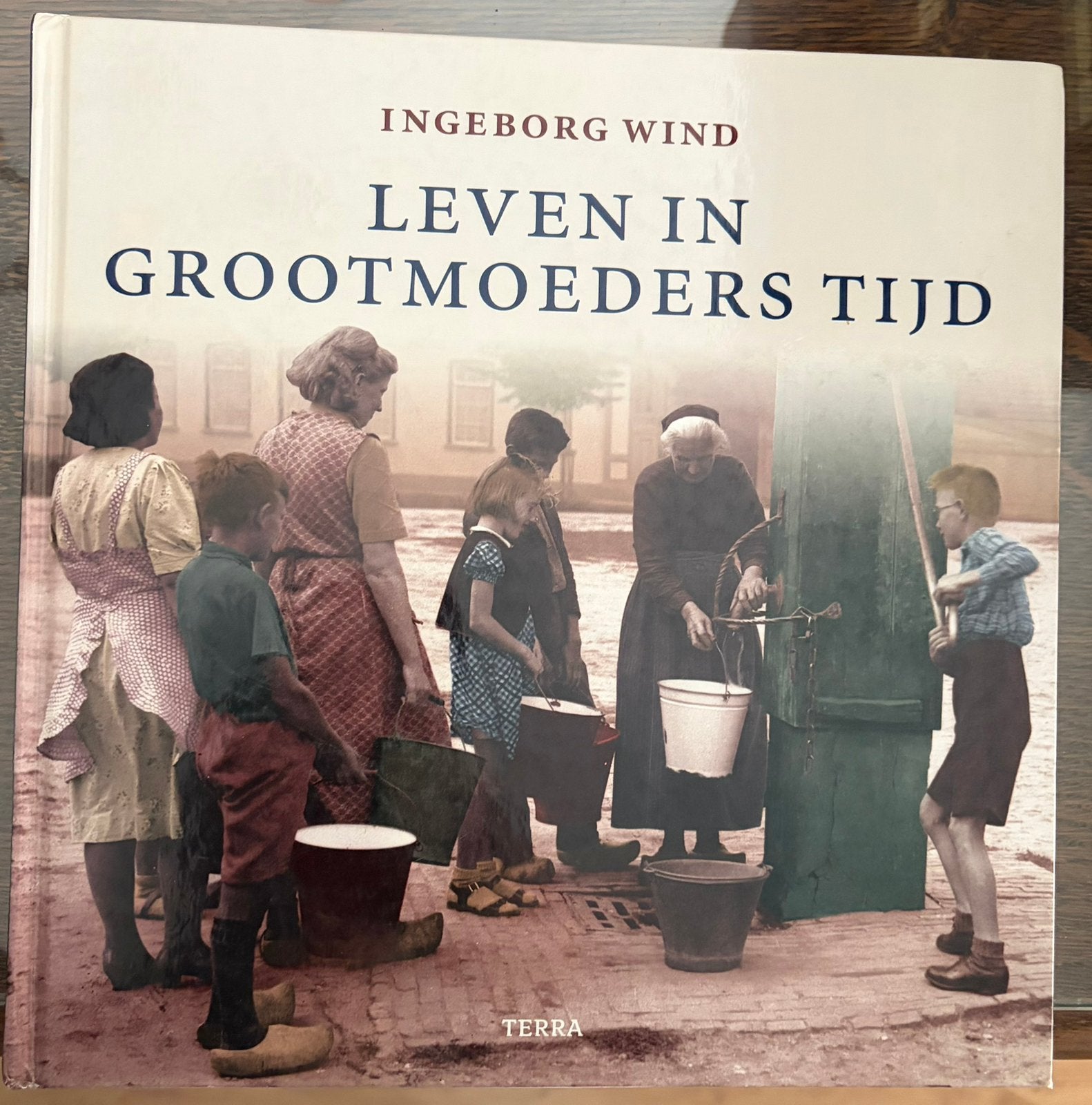 Boek Ingeborg Wind: Leven in grootmoeders tijd, Boeken, Ophalen of Verzenden, Gelezen