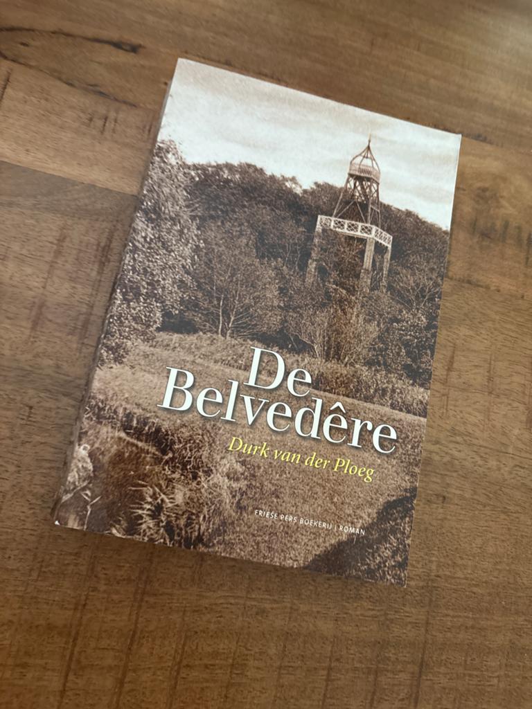 De Belvedère - Durk van der Ploeg (Friese Pers Boekerij), Boeken, Ophalen of Verzenden, Gelezen, Nederland