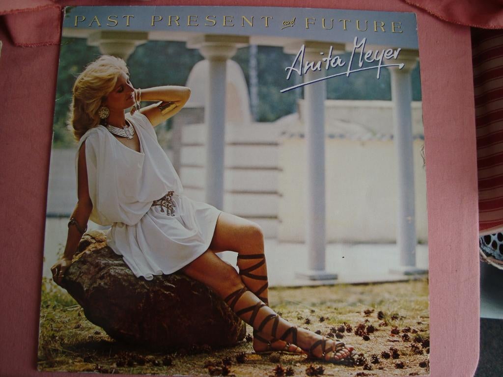 Anita meyer past present and futuri, Ophalen of Verzenden, Zo goed als nieuw, 12 inch