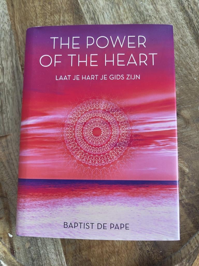 Baptist de Pape - The power of the heart, Achtergrond en Informatie, Spiritualiteit algemeen, Ophalen of Verzenden, Zo goed als nieuw