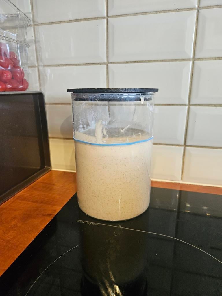 Zuurdesem starter biologisch met Tarwebloem en roggebloem, Ophalen of Verzenden
