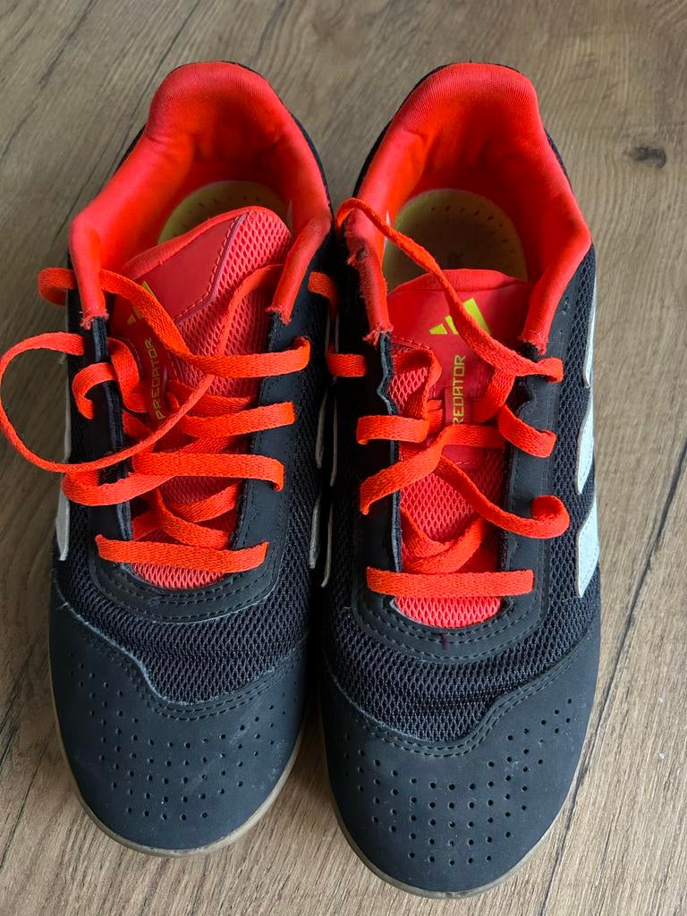 Gymschoenen zaalschoenen voetbalschoenen 38 2/3 Adidas, Ophalen of Verzenden, Zo goed als nieuw, Schoenen