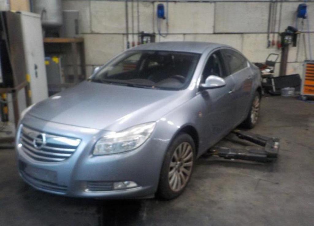 Portier Opel Insignia links + rechts, Ophalen, Rechts, Opel, Deur