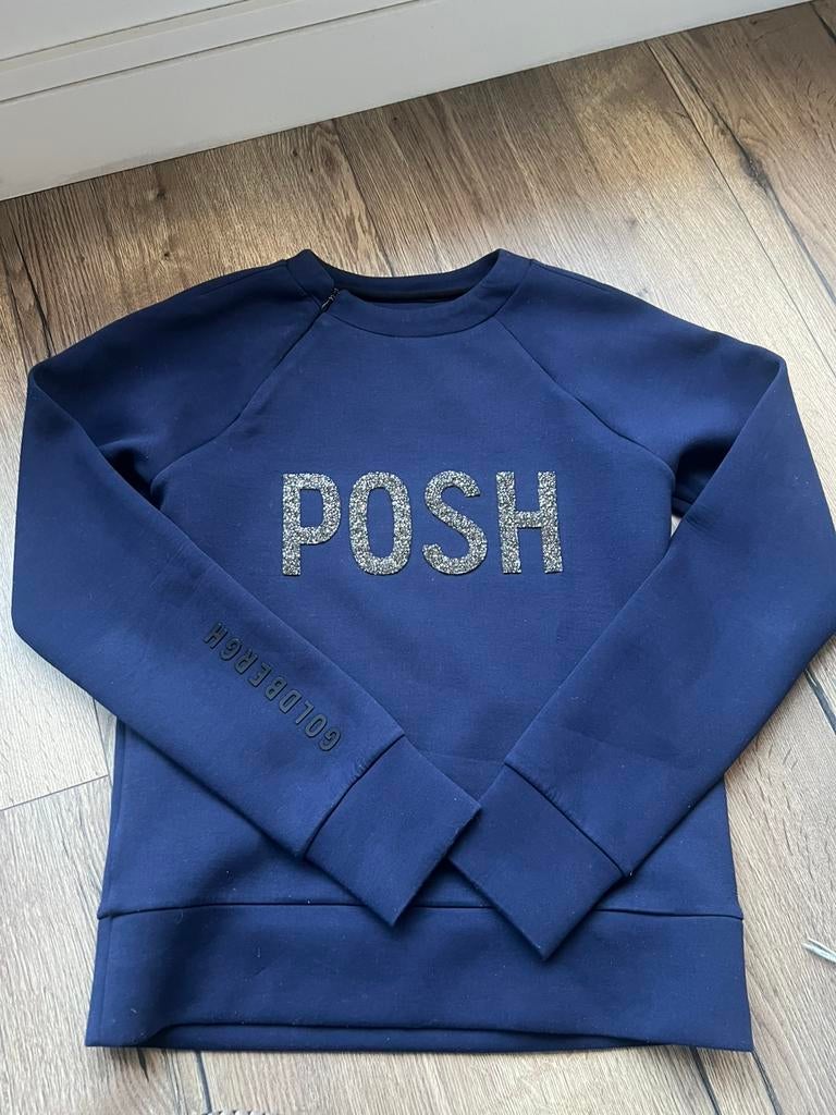 Goldbergh posh trui mt xs blauw, Kleding | Dames, Wintersportkleding, Ophalen of Verzenden, Zo goed als nieuw, Maat 34 (XS) of kleiner