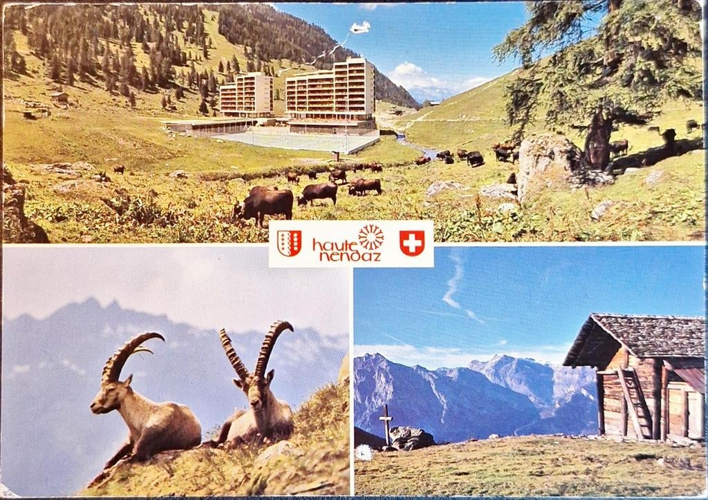 Nendaz Zwitserland 1982, Ophalen of Verzenden, 1980 tot heden, Gelopen, Overig Europa