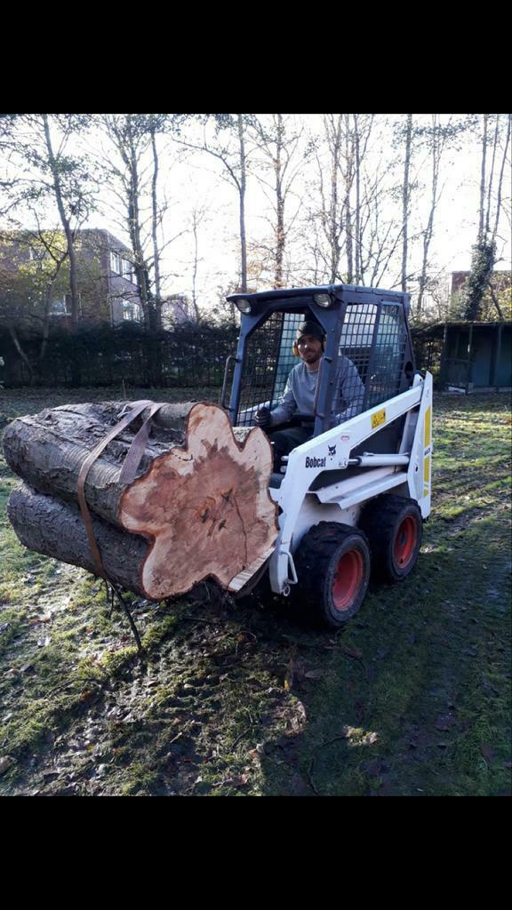 Hovenier tuinman Boomverzorging tuinonderhoud, Tuinonderhoud of Snoeiwerk