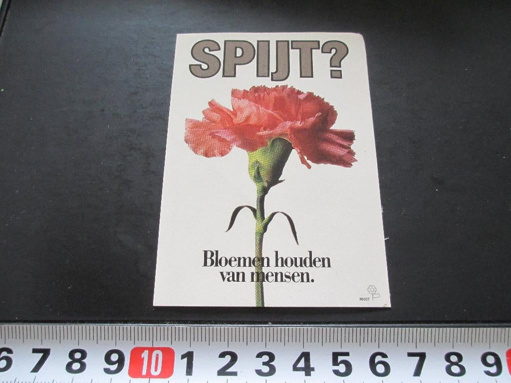 sticker spijt? bloemen houden van mensen - anjer, Verzamelen, Ophalen, Zo goed als nieuw